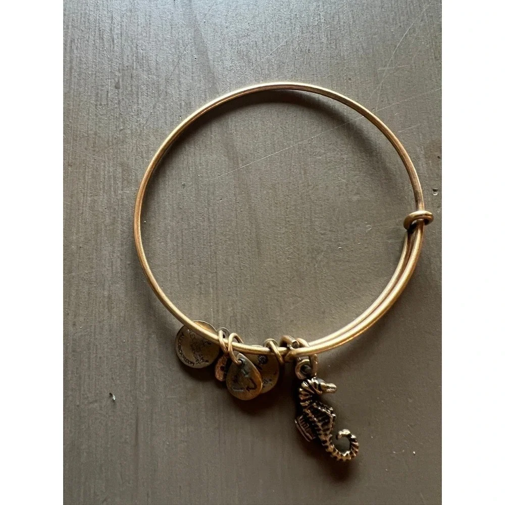 Alex and Ani Bangle Bracelet Lot 11pc Silver Gold Rose Gold Charms